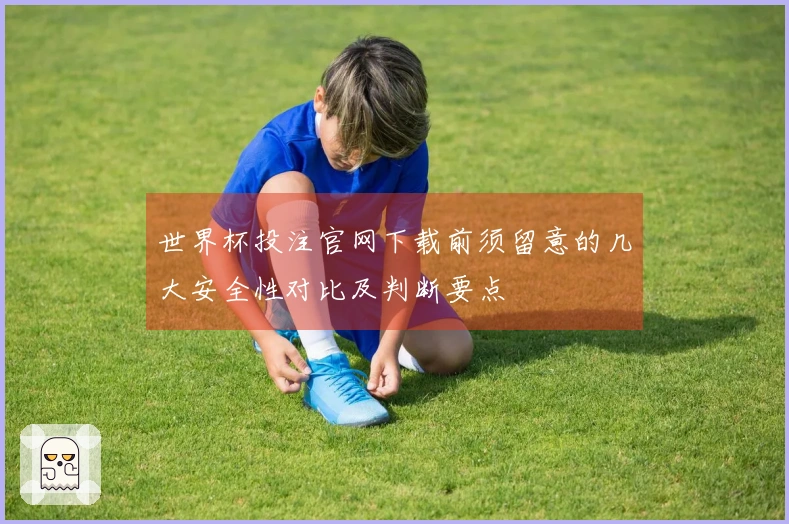 世界杯投注官网下载前须留意的几大安全性对比及判断要点