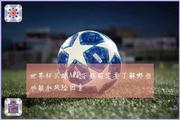 世界杯买球APP下载前需要了解哪些功能和风险因素