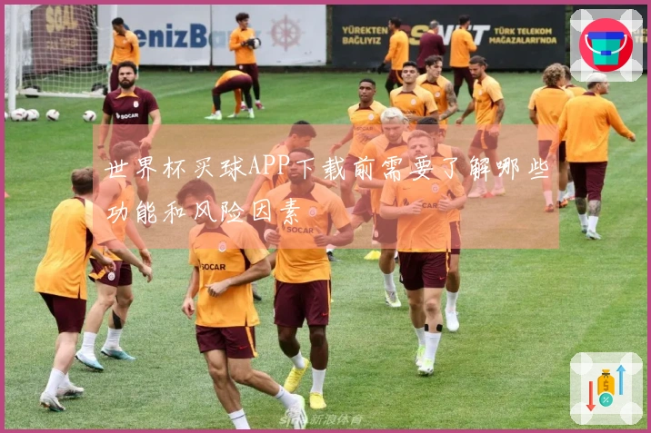 世界杯买球APP下载前需要了解哪些功能和风险因素