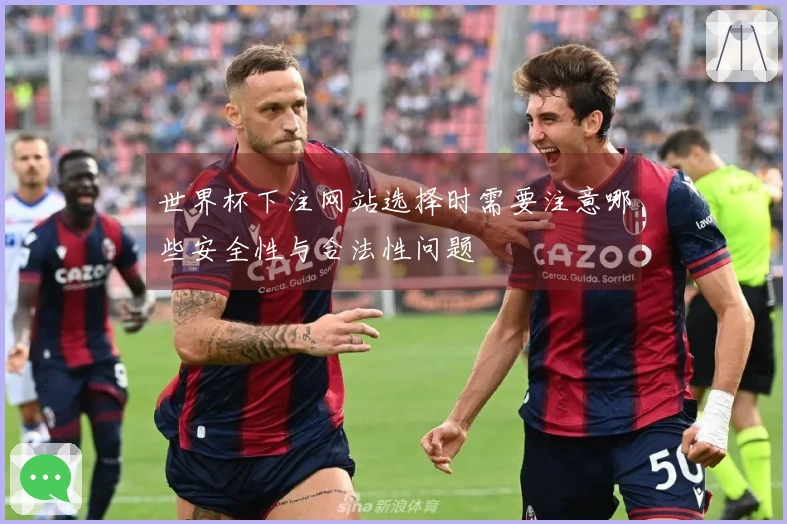 世界杯下注网站选择时需要注意哪些安全性与合法性问题