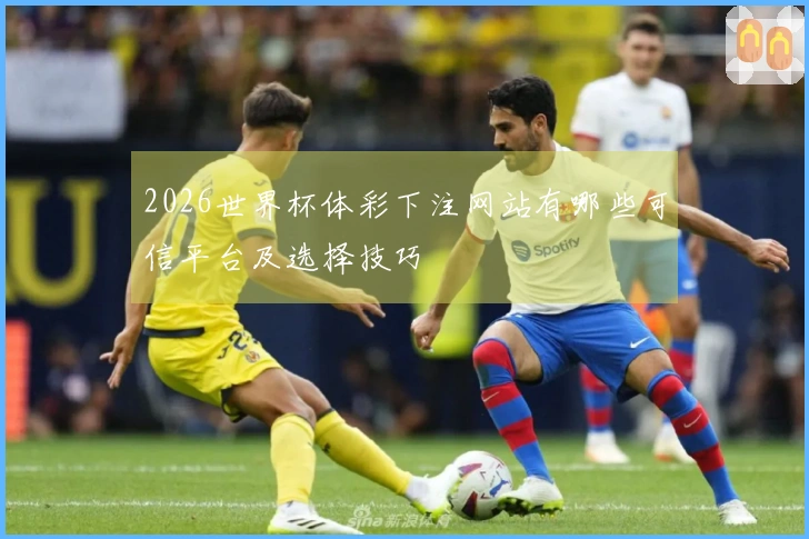 2026世界杯体彩下注网站有哪些可信平台及选择技巧
