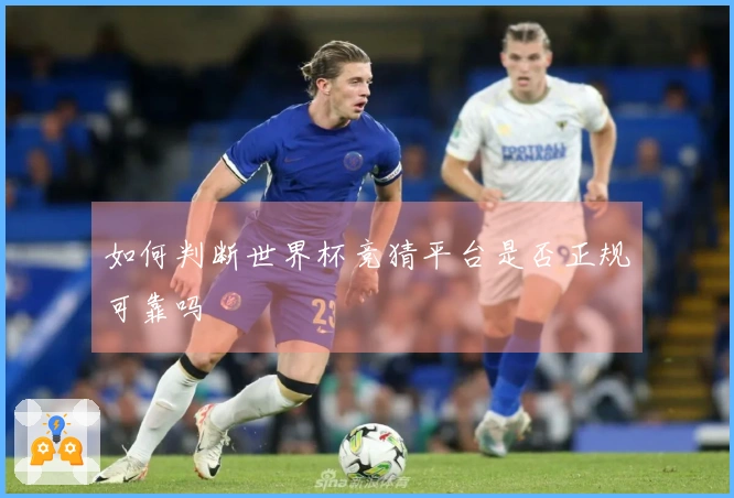 如何判断世界杯竞猜平台是否正规可靠吗