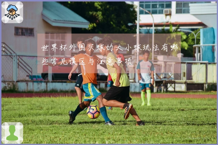 世界杯外围买球的大小球玩法有哪些常见误区与注意事项