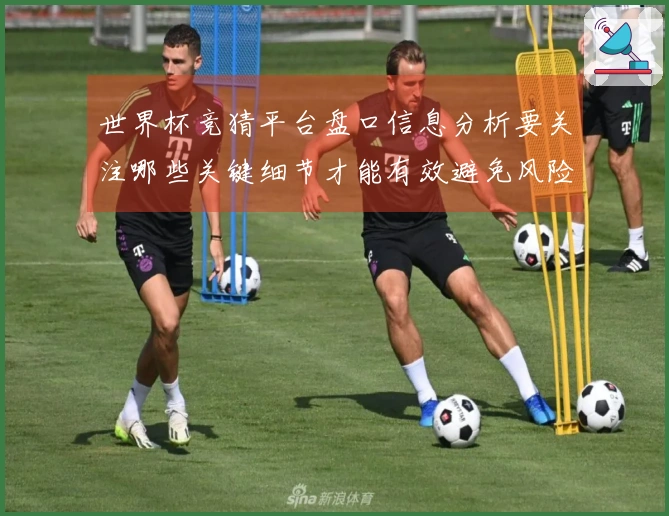 世界杯竞猜平台盘口信息分析要关注哪些关键细节才能有效避免风险
