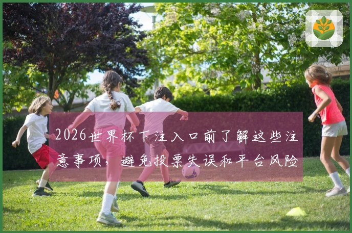 2026世界杯下注入口前了解这些注意事项，避免投票失误和平台风险