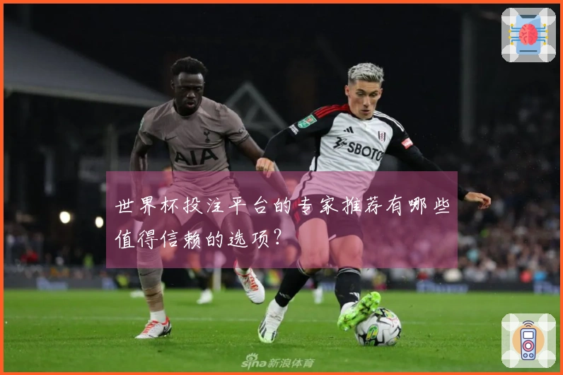 世界杯投注平台的专家推荐有哪些值得信赖的选项？