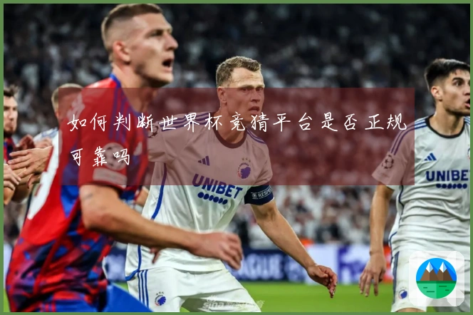 如何判断世界杯竞猜平台是否正规可靠吗