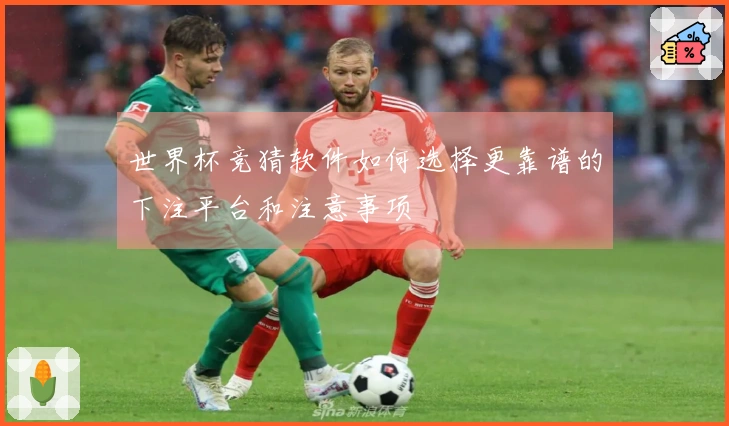 世界杯竞猜软件如何选择更靠谱的下注平台和注意事项