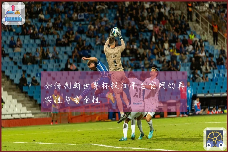 如何判断世界杯投注平台官网的真实性与安全性