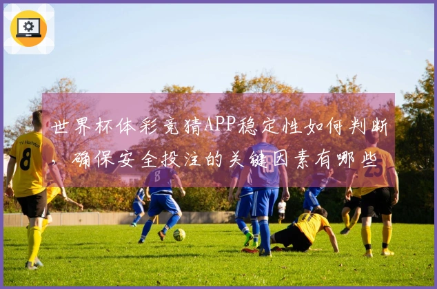 世界杯体彩竞猜APP稳定性如何判断,确保安全投注的关键因素有哪些