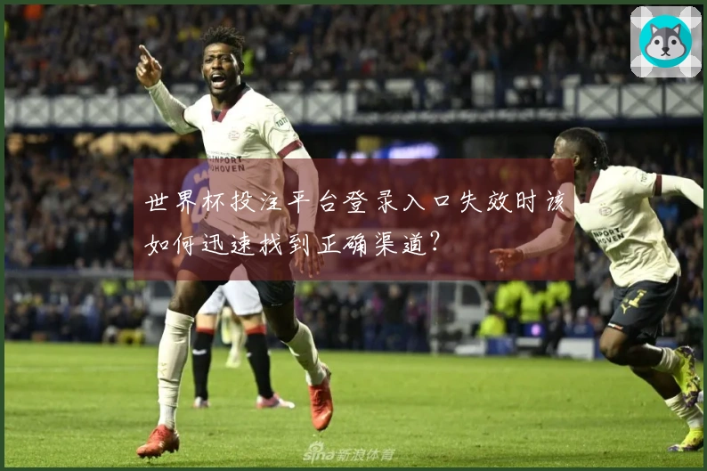 世界杯投注平台登录入口失效时该如何迅速找到正确渠道？