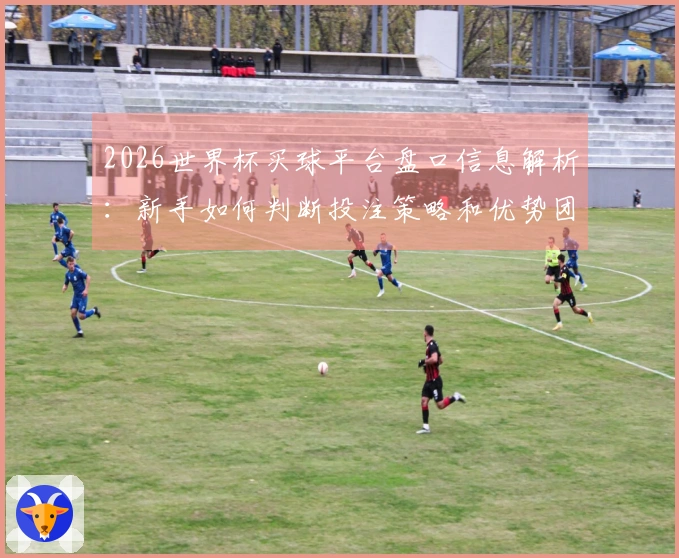 2026世界杯买球平台盘口信息解析:新手如何判断投注策略和优势团队